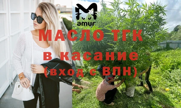 индика Волоколамск